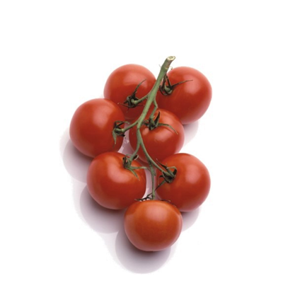 Minuteur ludique Tomate