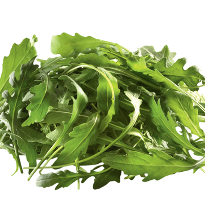 Salade jeune pousse roquette Italie barquette de 1 kg