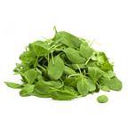 Salade jeune pousse épinard Paris France 1 kg