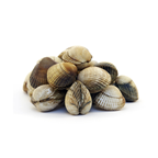 Coque moyenne affinée en claire pêchée en Atlantique Nord Est caisse bois 3 kg