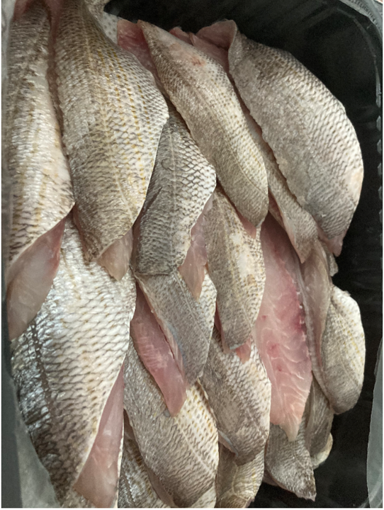 Filet de Dorade Grise calibre 30/+ sous atmosphère pêchée en Atlantique Nord-Est barquette 2 kg