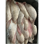 Filet de Dorade Grise calibre 30/+ sous atmosphère pêchée en Atlantique Nord-Est barquette 2 kg