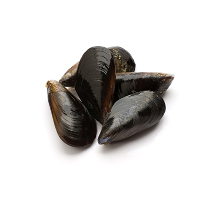 Moule de Hollande ou Danoise calibre 70/90 pc/kg sous atmosphère élevage Hollande barquette 2 kg