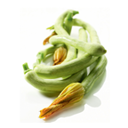 Courgette blanche catégorie 1 France