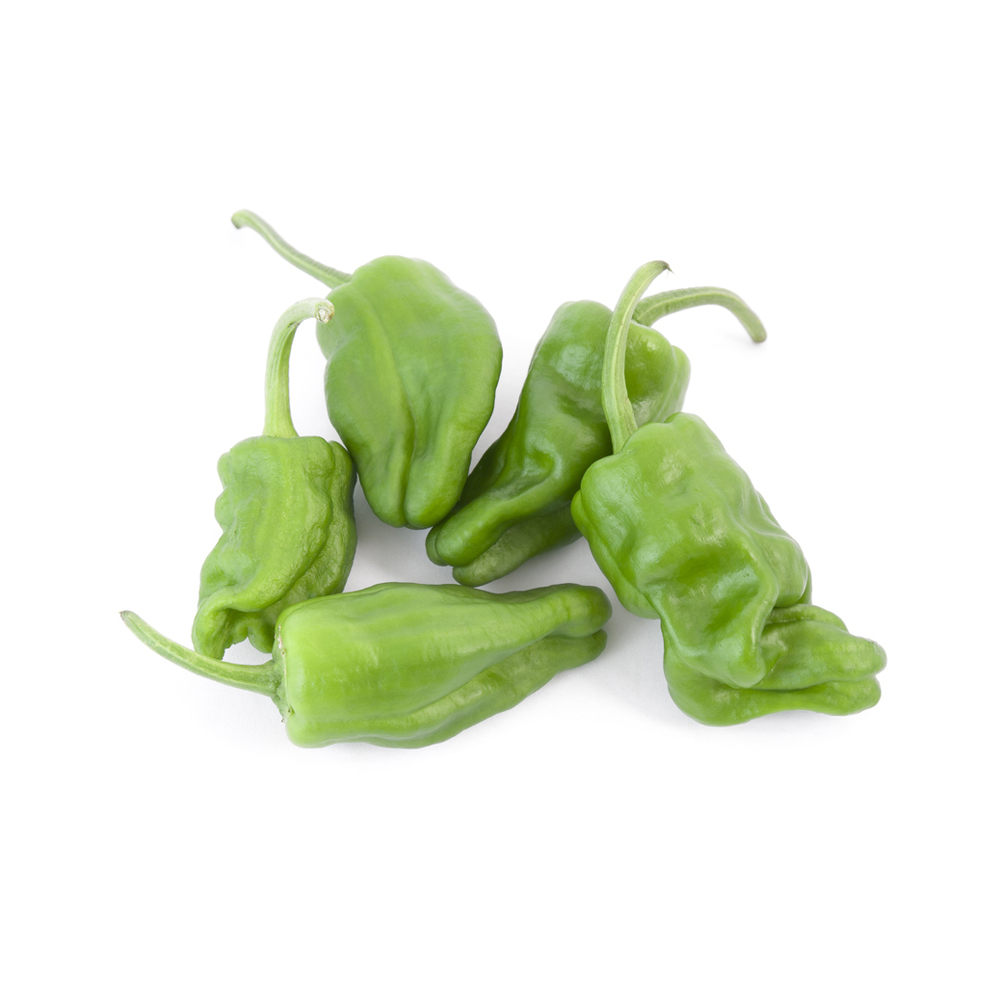 Mini Poivron padron barquette 500 g catégorie 1 Espagne