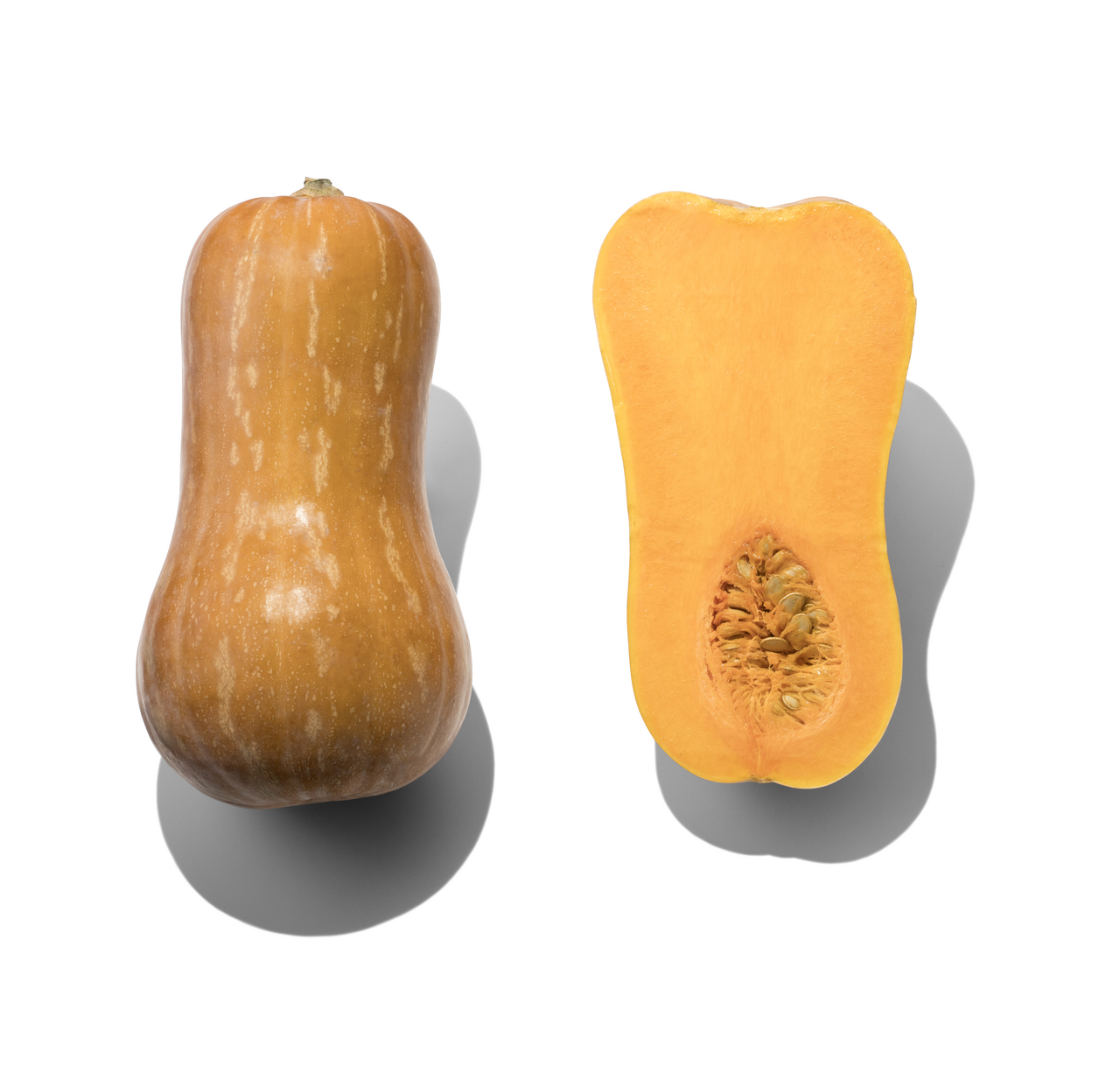 Courge Butternut France