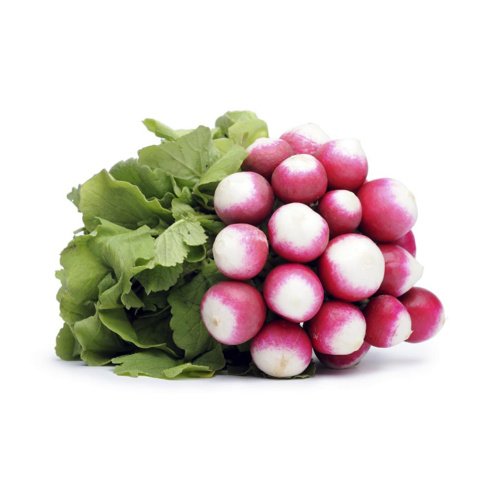 Radis rose botte catégorie 1 France