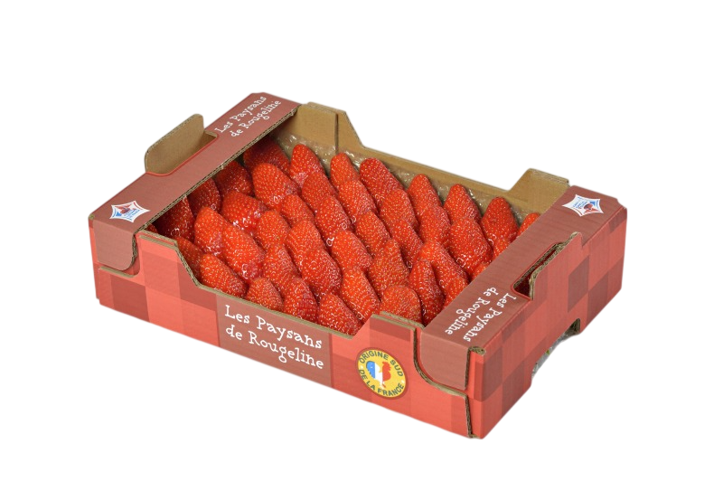 Fraise Gariguette Label Rouge catégorie Extra France 800 g
