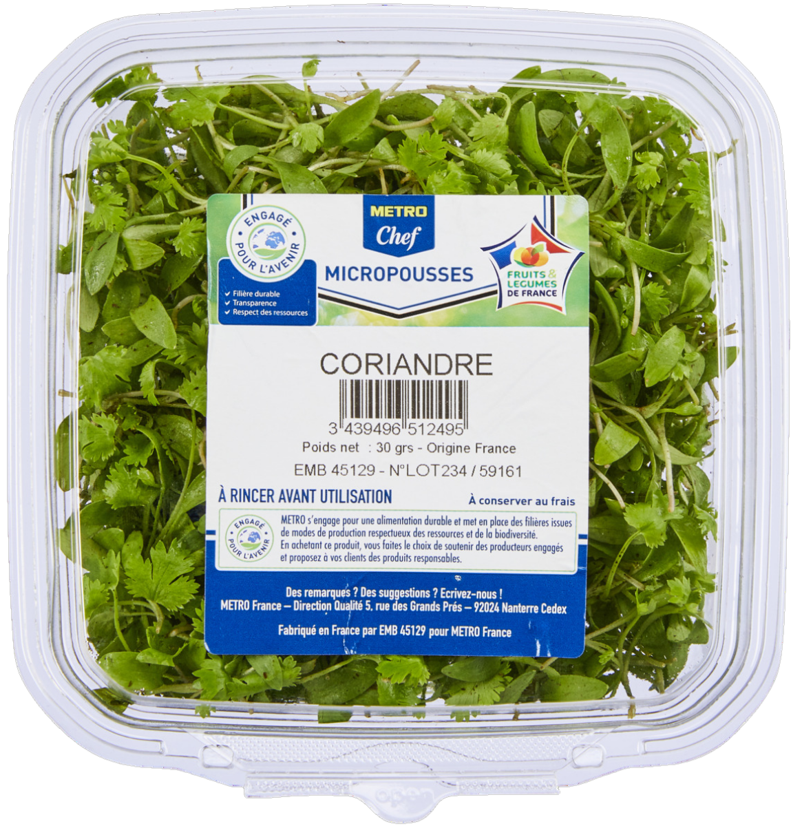 METRO Chef Micro-pousse de coriandre France