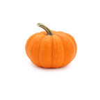 Mini potiron BIO Mas France