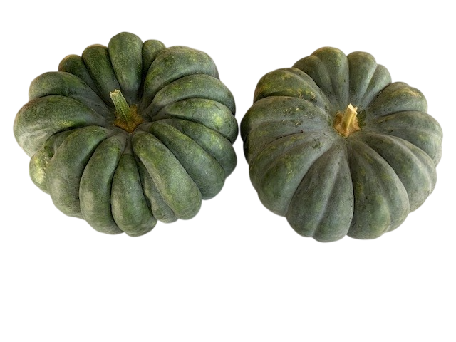 Courge schiatsu France