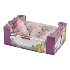 Racine radis blue meat France 2 kg 