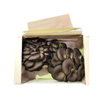 Champignon Pleurote Bouquet 1 kg France