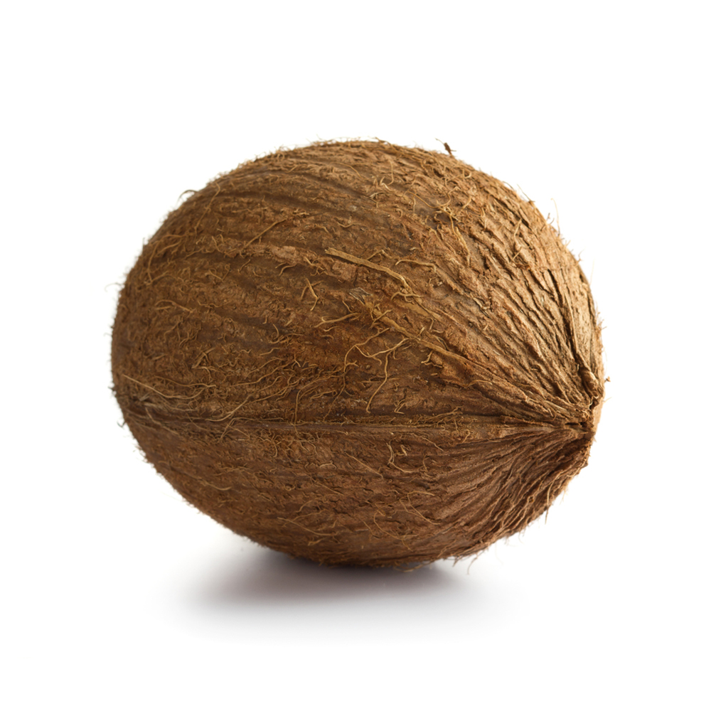 Noix de coco fraîche Vietnam