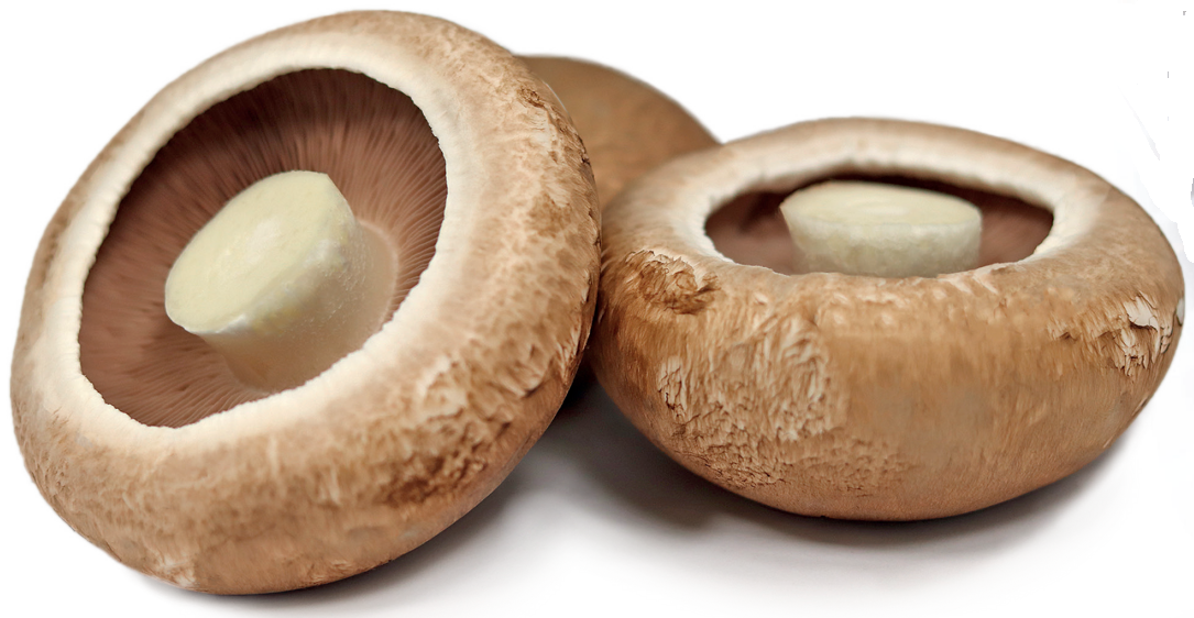 Champignon Portobello 2 kg France.
