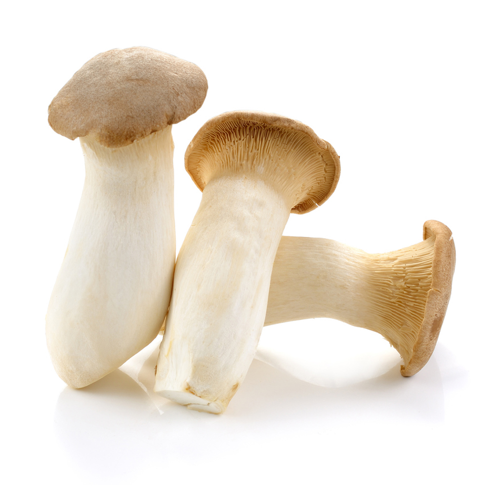 Champignon Eryngii Allemagne 1 kg