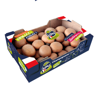 Champignon brun pied coupé moyen France 1 kg 