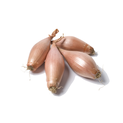 METRO Chef Échalion calibre 30/50 mm catégorie 1 France filet de 1 kg