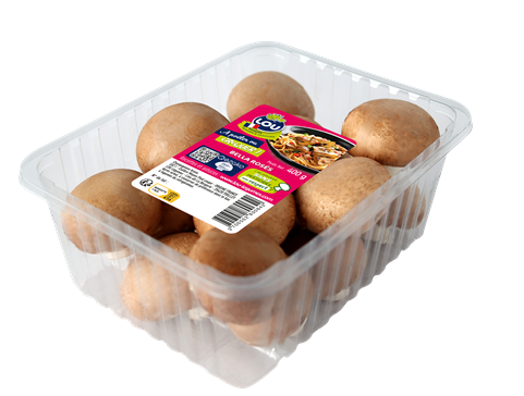 Champignon brun pied coupé moyen France 400g