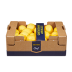 Citron jaune Primofiori non traité 1.5 kg catégorie 1 Espagne