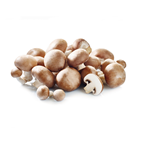 Champignon pied coupé moyen brun catégorie 1-3 kg France