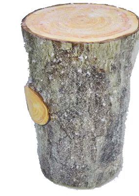 Bûche en bois 25 x 16 cm