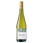 MICHEL LAURENT Muscadet Sèvre et Maine bouteille 75 cl