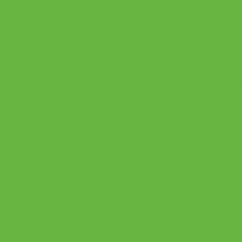 Plateau de table Solo kromy vert 70 x 60 cm SM France - 044068