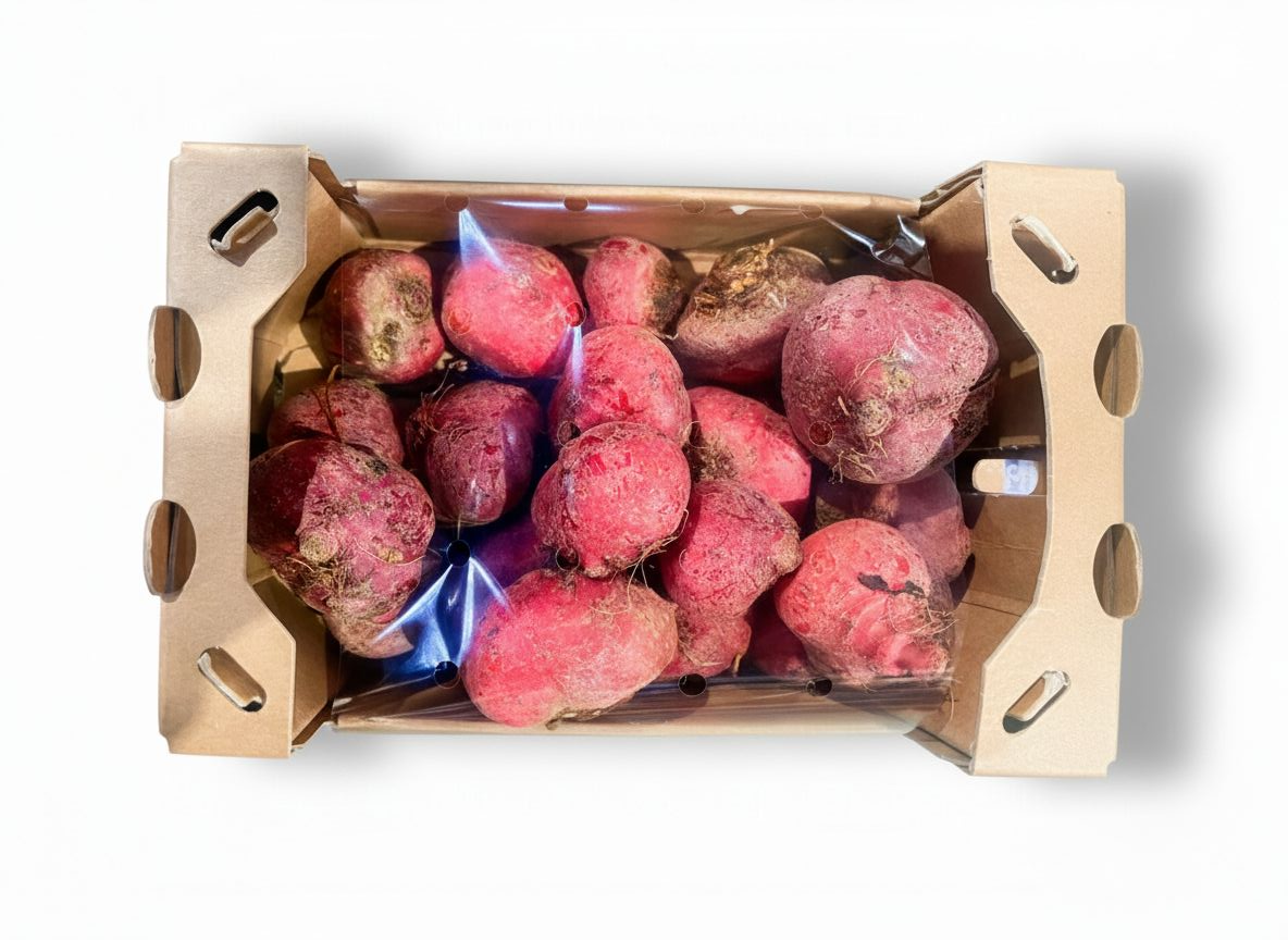 Betterave chioggia 2 kg France