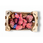 Betterave chioggia 2 kg France