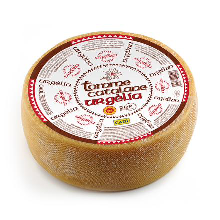 Cadi Tomme Catalane x 50 Urgèlia