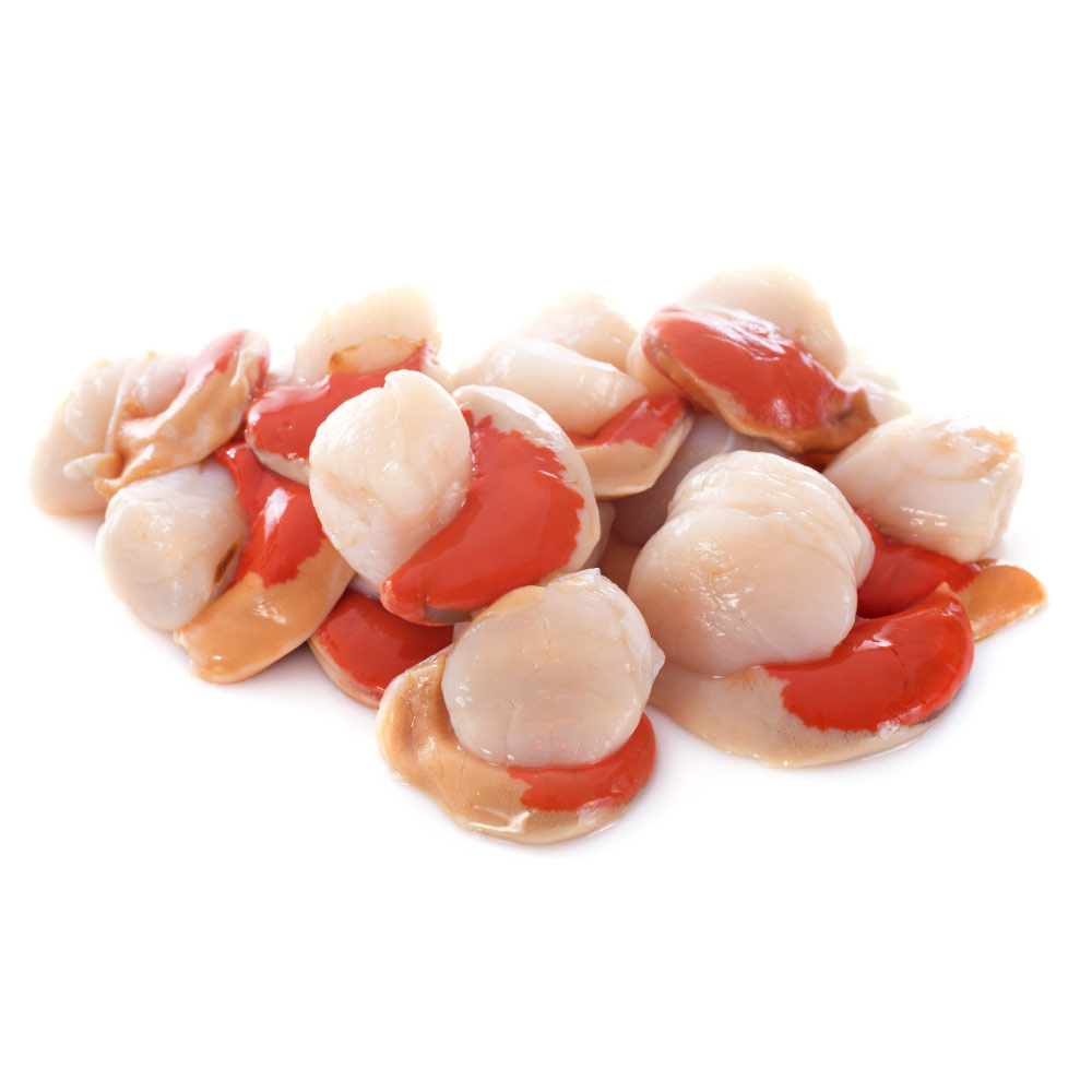 Noix de St Jacques coraillée pêchée en Atlantique Nord-Est colis 2 kg