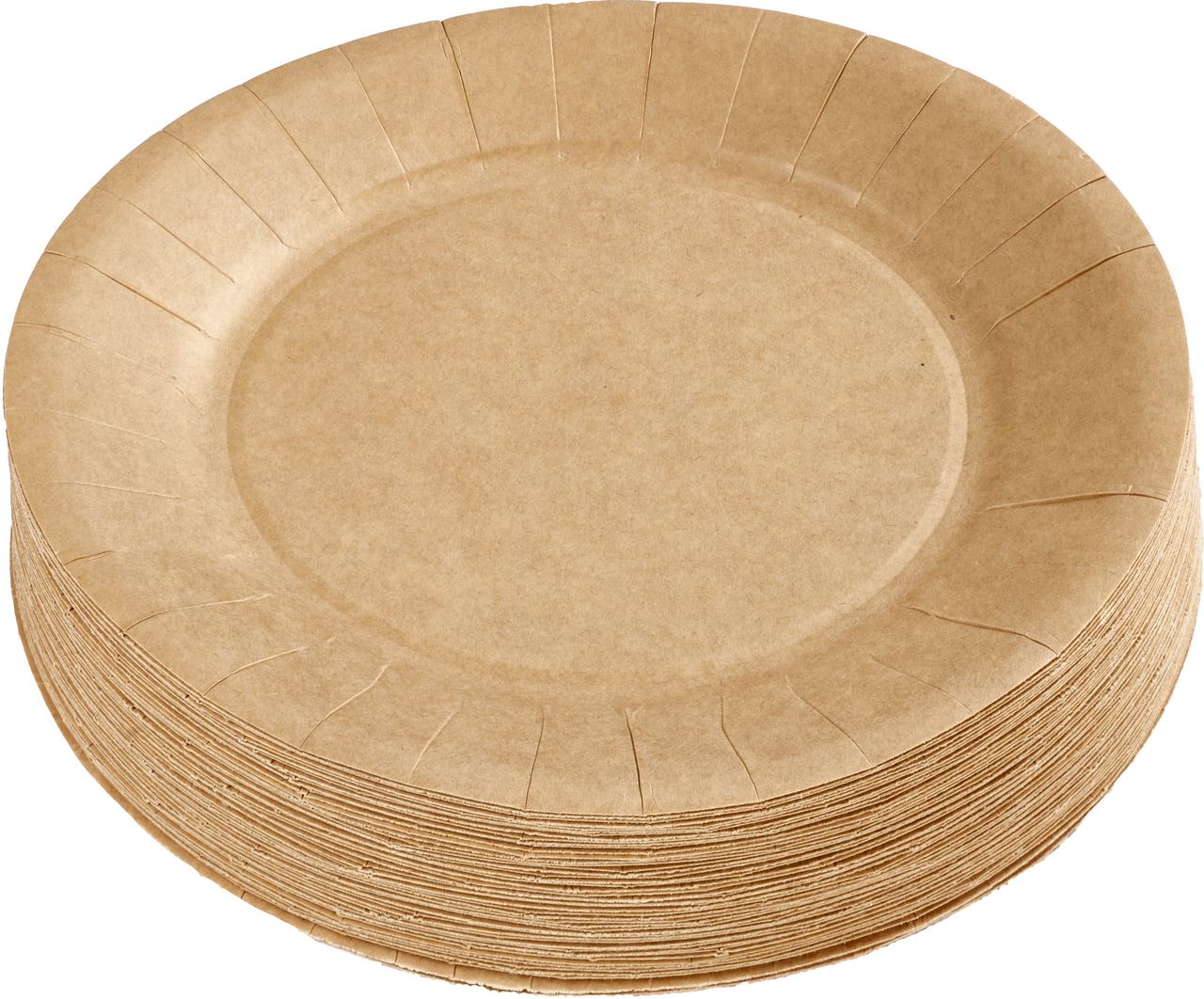 Assiette jetable ronde carton purepate kraft 18 cm x 100