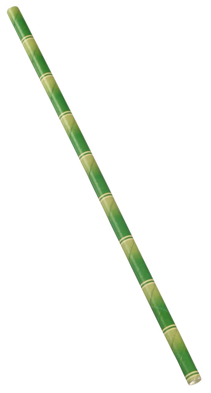 Paille droite papier décor bambou 0.6 x 20 cm x 500