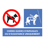 Bequet Pancarte affichage Chien interdit plastique blanc 30 x 20 cm