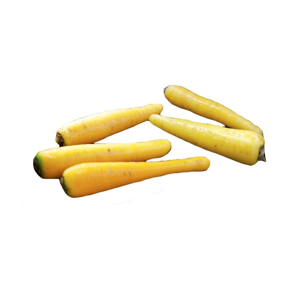 Carotte jaune 2 kg France