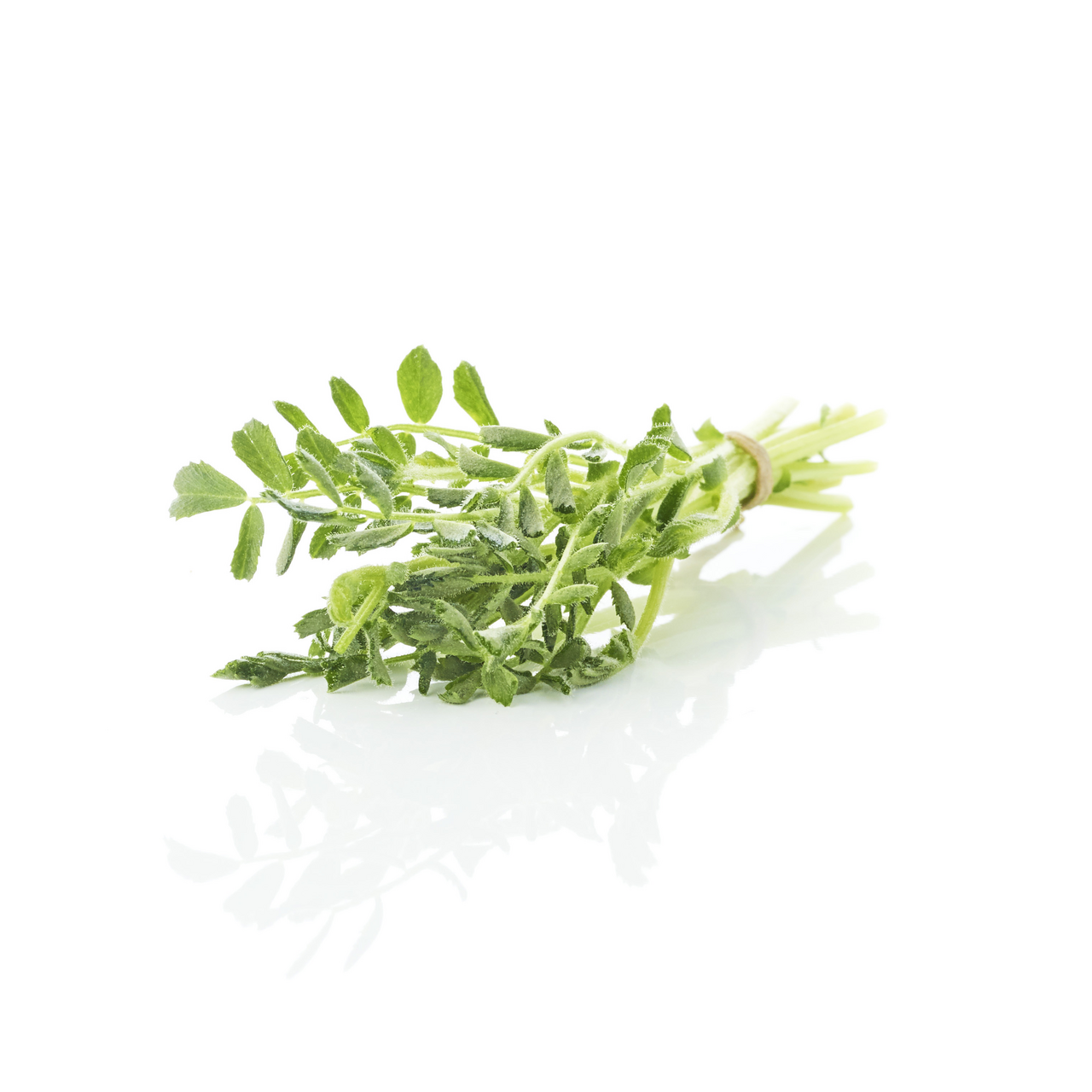 Vitalfa Pousse BB pois chiche BIO 20 g