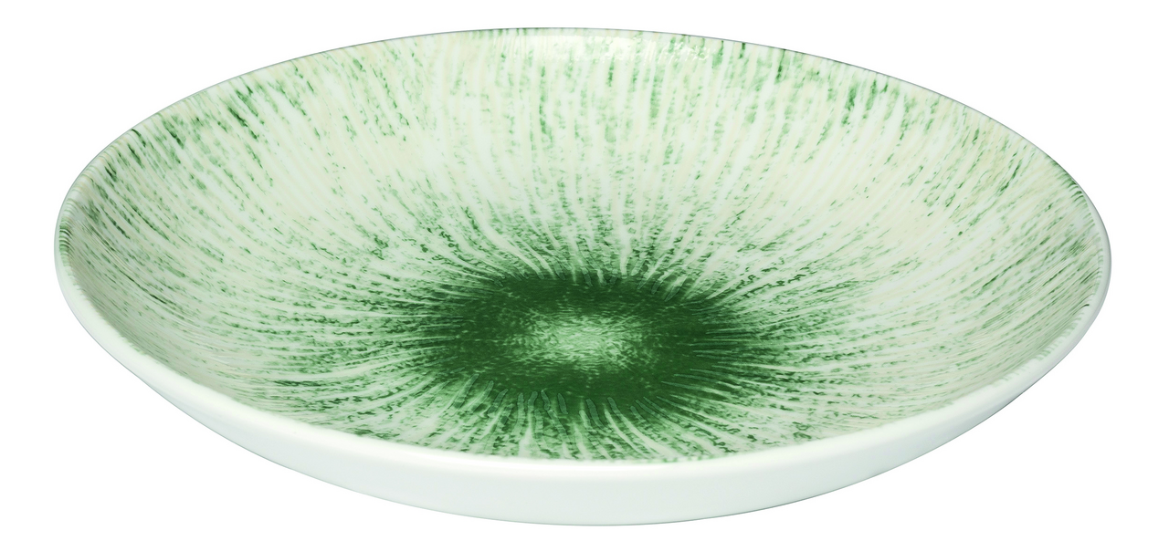 In Situ Assiette caLotte axone 20 cm
