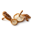 Champignon Shiitaké BIO 2 kg France