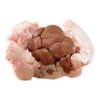 LENAJA Rognon de veau avec gras halal sous vide origine UE 