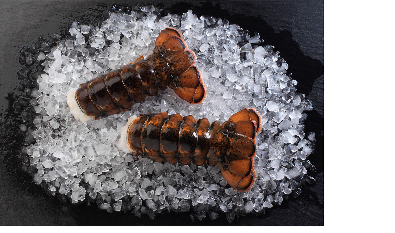 SeaGold Queue de homard cru MSC X 2 