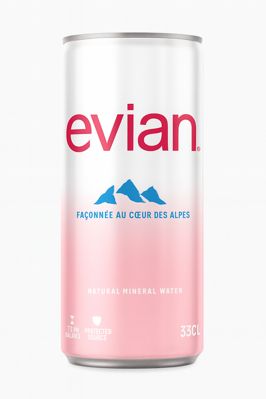 Evian Eau minérale naturelle boîte 33 cl