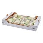 Fenouil barquette 500 g Italie