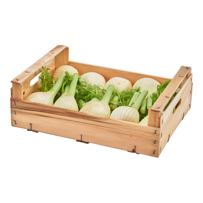 Fenouil Italie 3 kg
