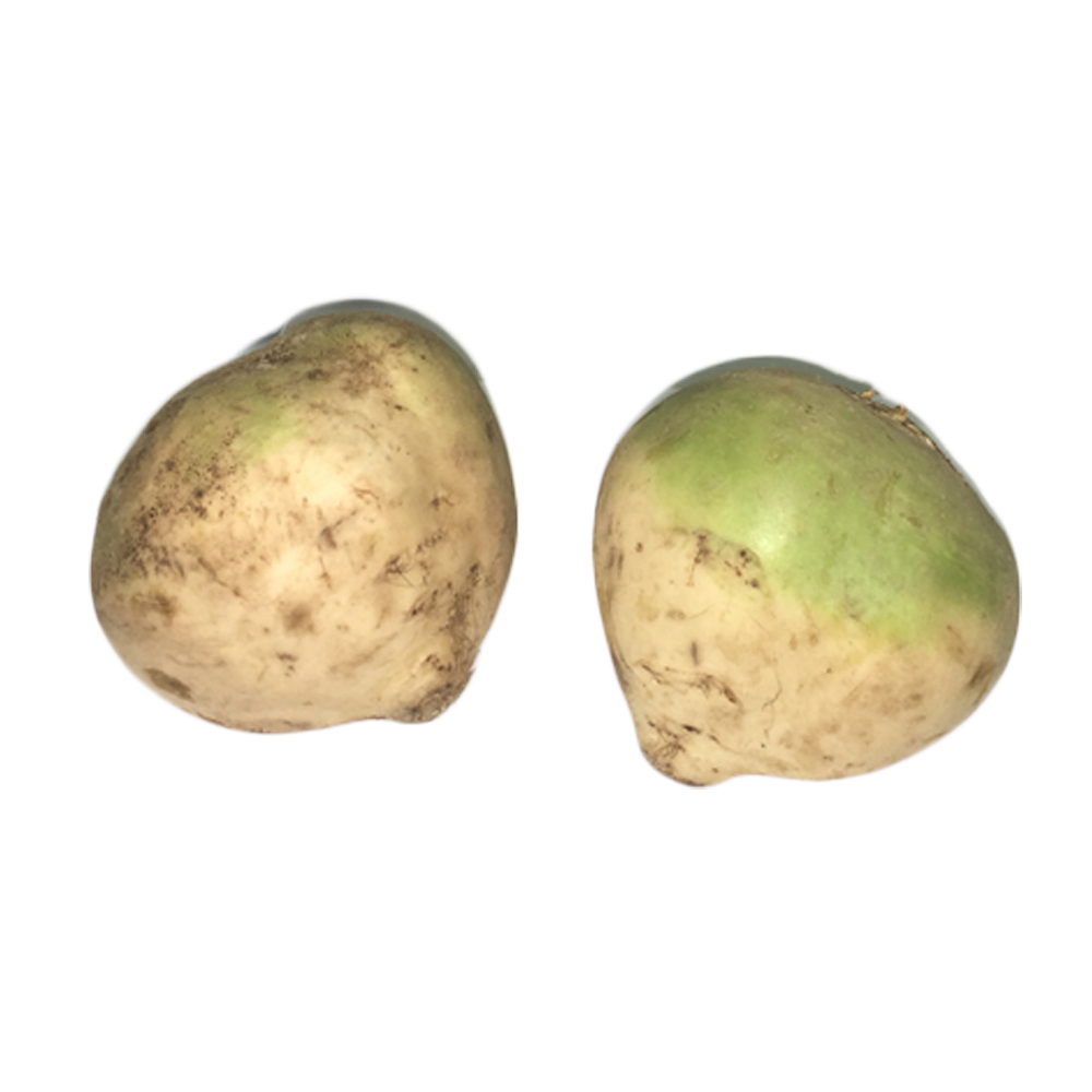 Betterave blanche 2 kg France