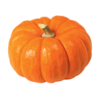 Courge Jack Be Little France