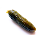 Cornichon 5 kg France
