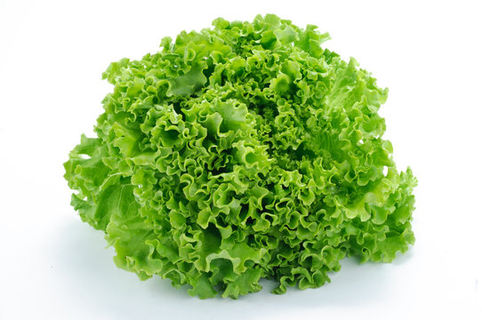 Salata gentile karton cca 4kg