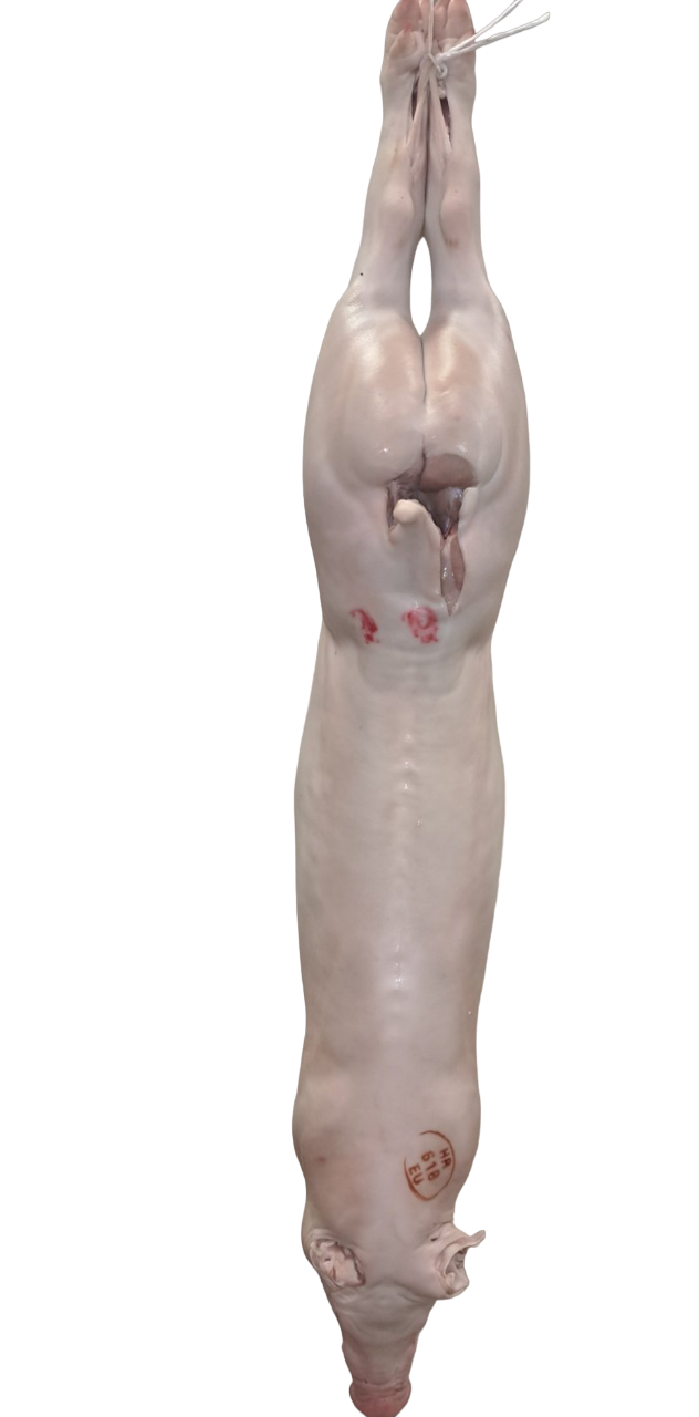 Pik odojak - trup cca 15 kg