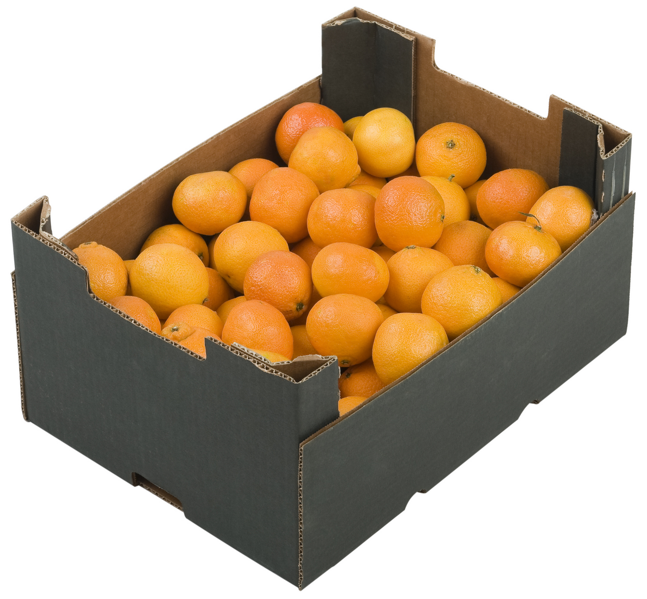 Naranča karton cca 15kg